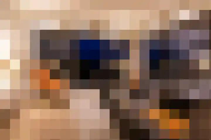 Misthoorn 41 Blauwestad thumbnail 55
