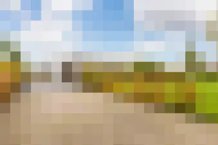 Misthoorn 41 Blauwestad thumbnail 7