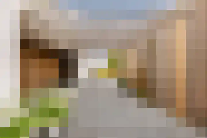 Misthoorn 41 Blauwestad thumbnail 8