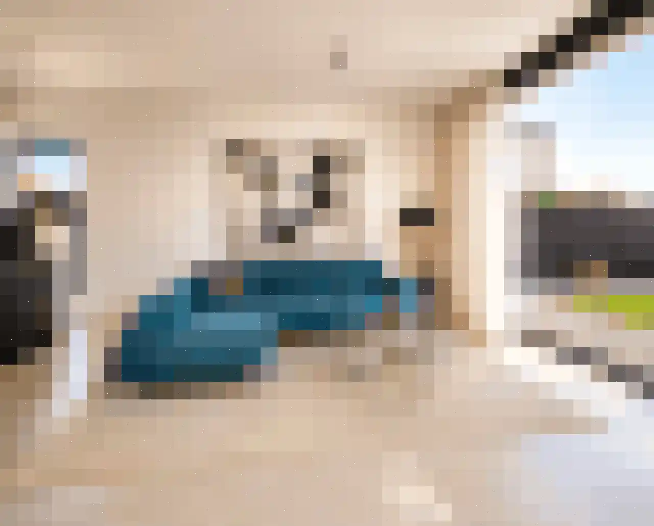 Misthoorn 45 Blauwestad thumbnail 17