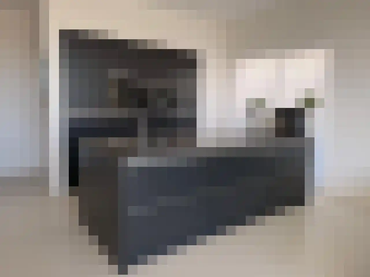 Misthoorn 45 Blauwestad thumbnail 7