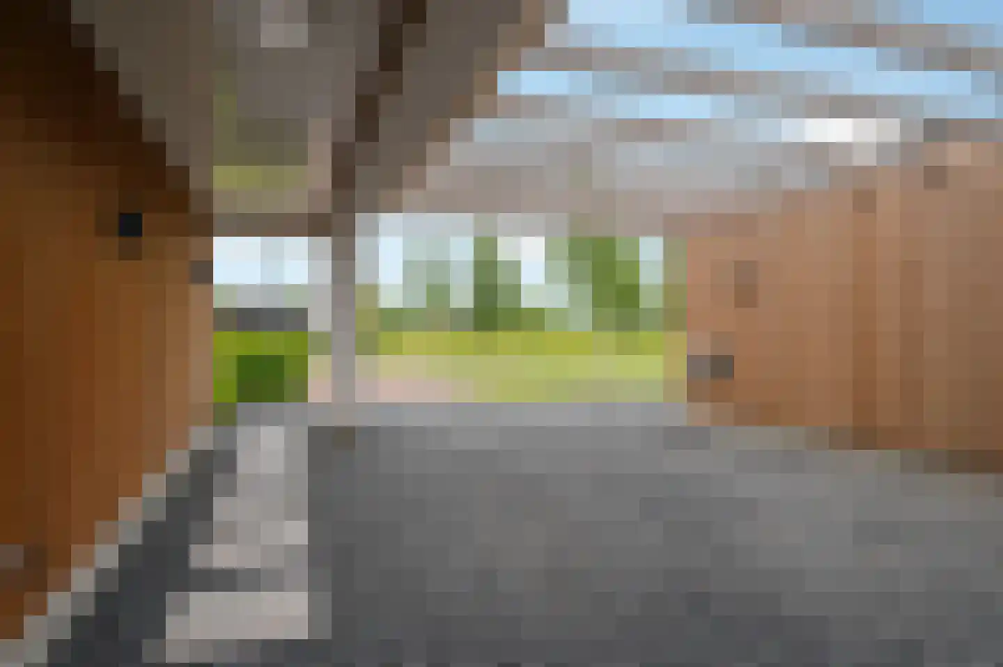 Misthoorn 5 Blauwestad thumbnail 11