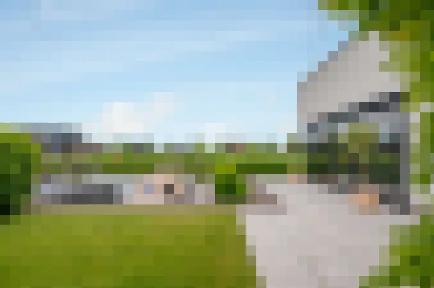 Misthoorn 5 Blauwestad thumbnail 61