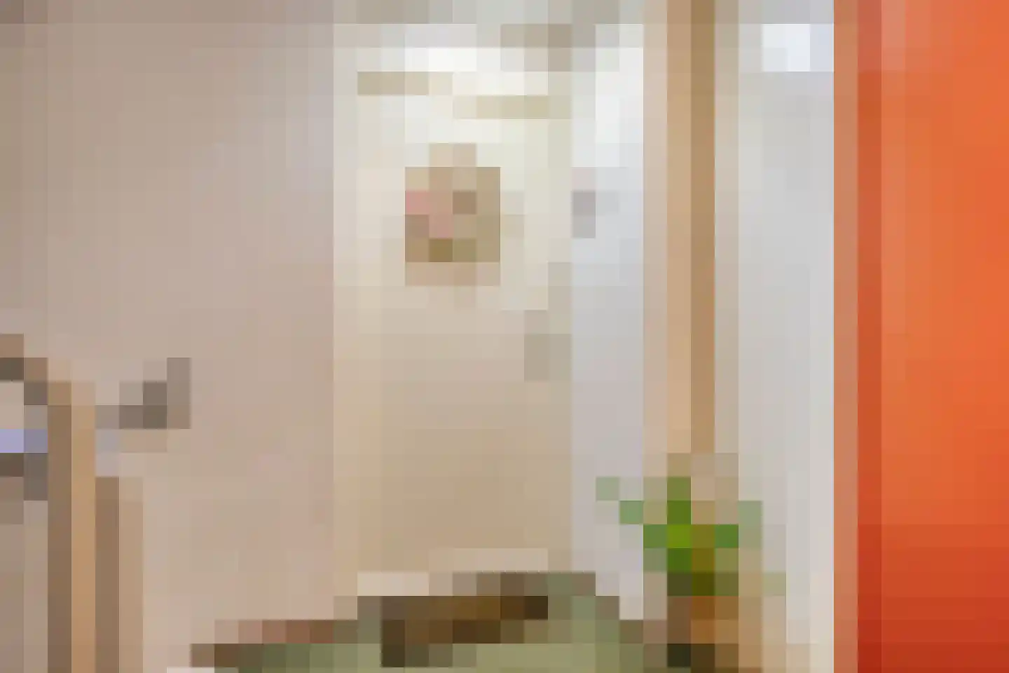 Mistralstraat 17 Rotterdam thumbnail 5