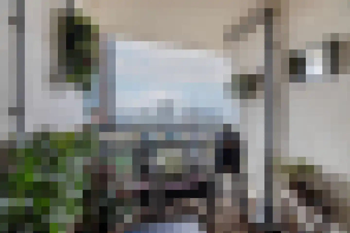 Mistralstraat 19 Rotterdam thumbnail 25