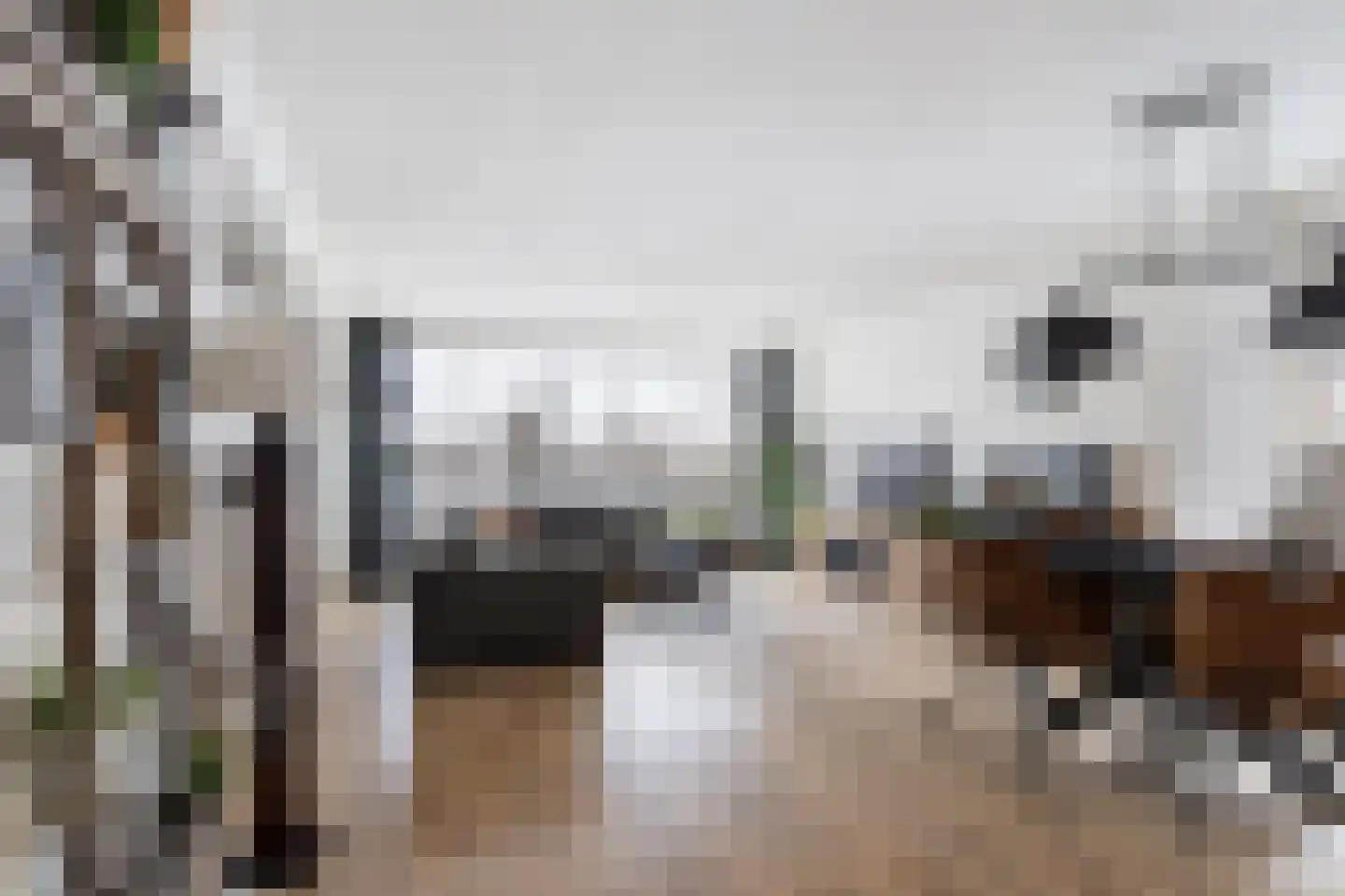 Mistralstraat 19 Rotterdam thumbnail 8
