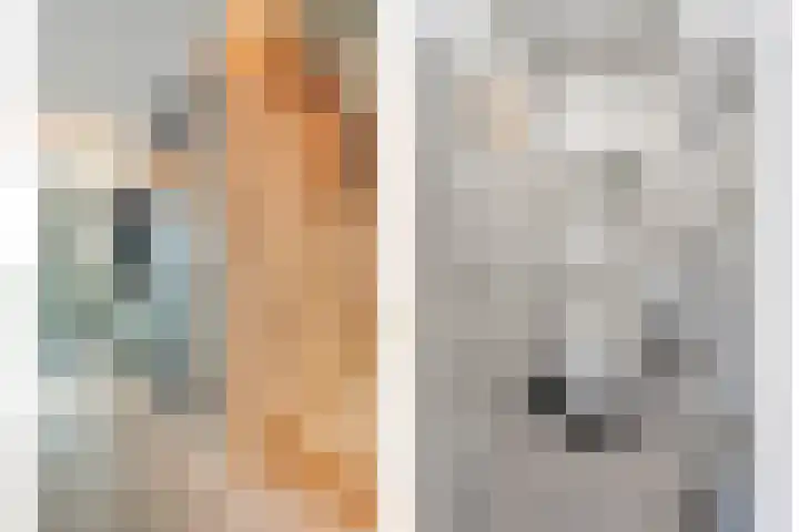 Mittendorffwerf 10 Dedemsvaart thumbnail 10