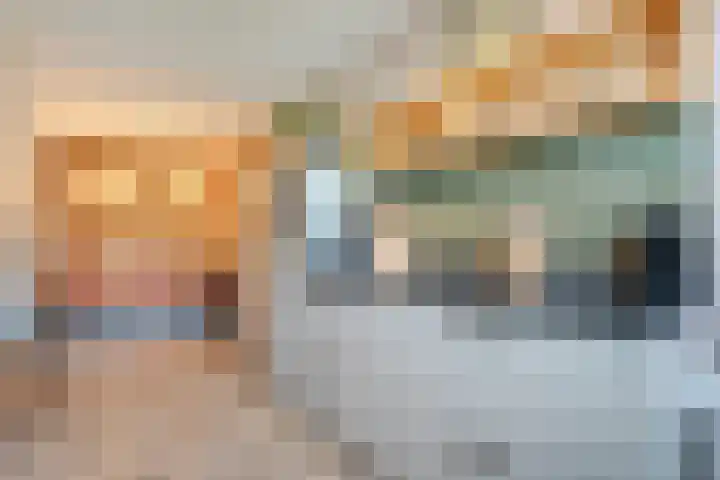 Mittendorffwerf 10 Dedemsvaart thumbnail 15