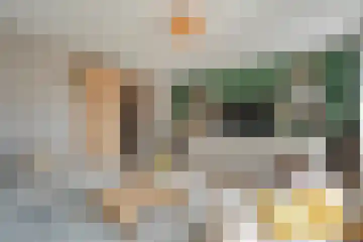 Mittendorffwerf 10 Dedemsvaart thumbnail 19
