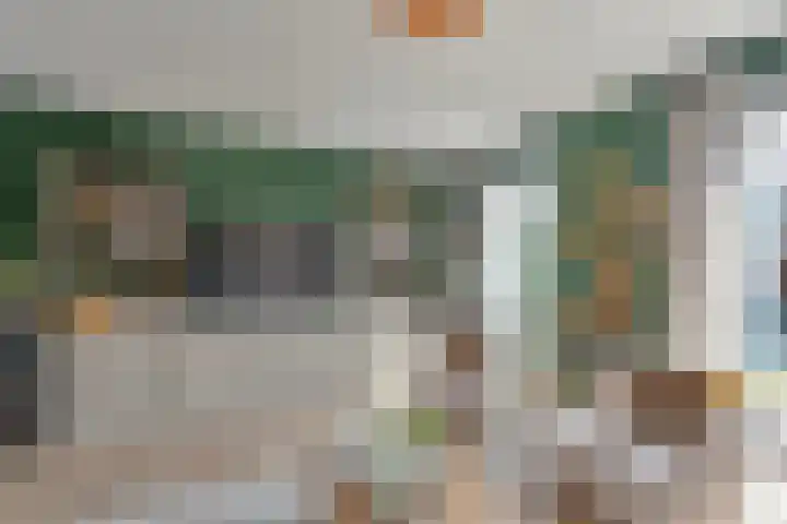 Mittendorffwerf 10 Dedemsvaart thumbnail 20