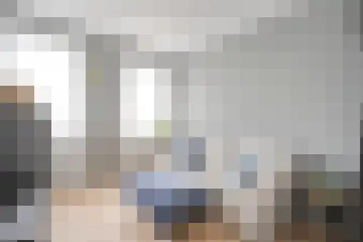 Mittendorffwerf 10 Dedemsvaart thumbnail 24