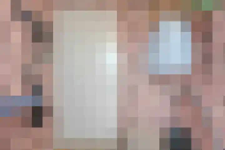 Mittendorffwerf 10 Dedemsvaart thumbnail 27