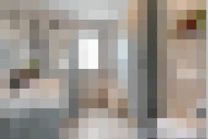 Mittendorffwerf 10 Dedemsvaart thumbnail 28
