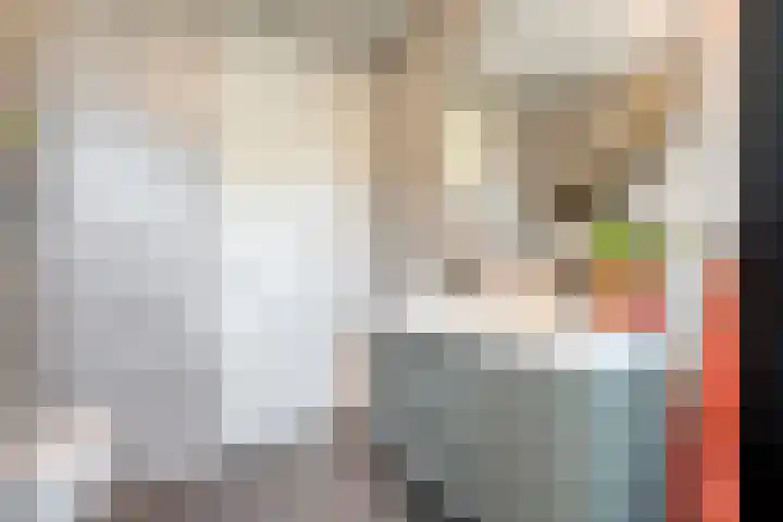 Mittendorffwerf 10 Dedemsvaart thumbnail 29
