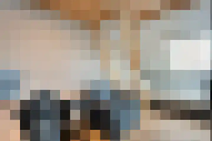 Mittendorffwerf 10 Dedemsvaart thumbnail 31