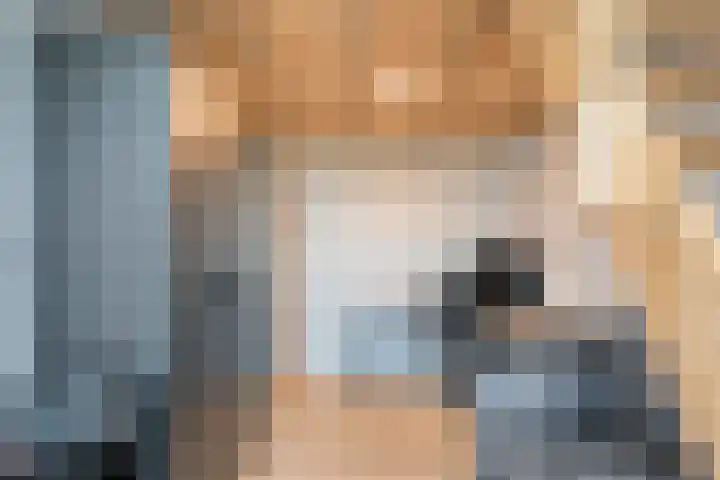 Mittendorffwerf 10 Dedemsvaart thumbnail 32