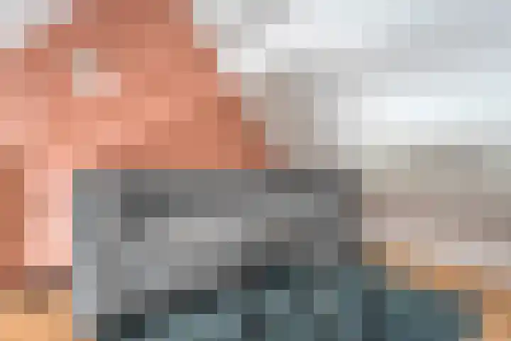 Mittendorffwerf 10 Dedemsvaart thumbnail 33