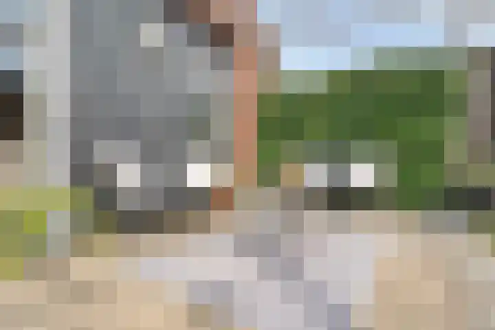 Mittendorffwerf 10 Dedemsvaart thumbnail 38