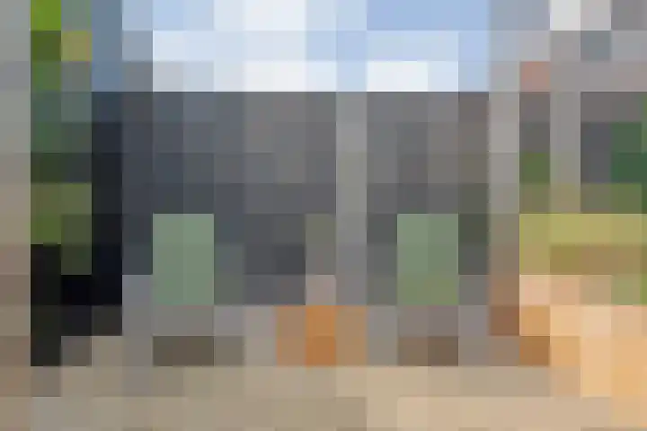 Mittendorffwerf 10 Dedemsvaart thumbnail 39
