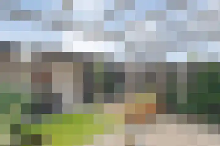 Mittendorffwerf 10 Dedemsvaart thumbnail 41