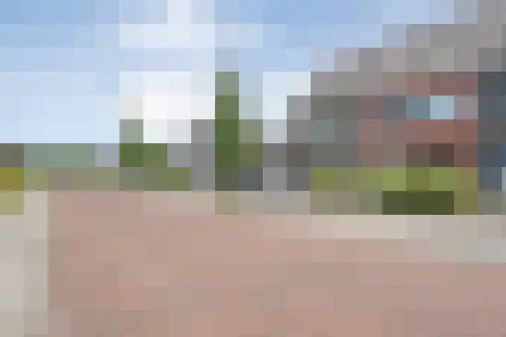 Mittendorffwerf 10 Dedemsvaart thumbnail 7