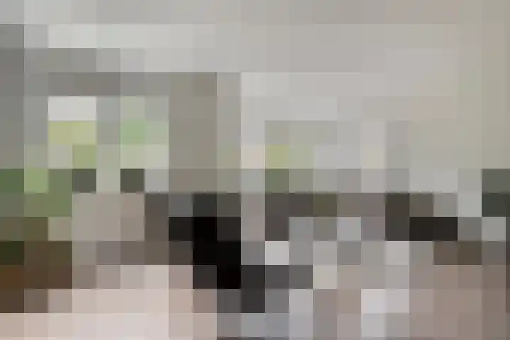 Mittendorffwerf 53 Dedemsvaart thumbnail 11