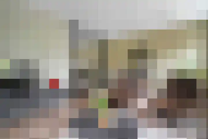 Mittendorffwerf 53 Dedemsvaart thumbnail 12
