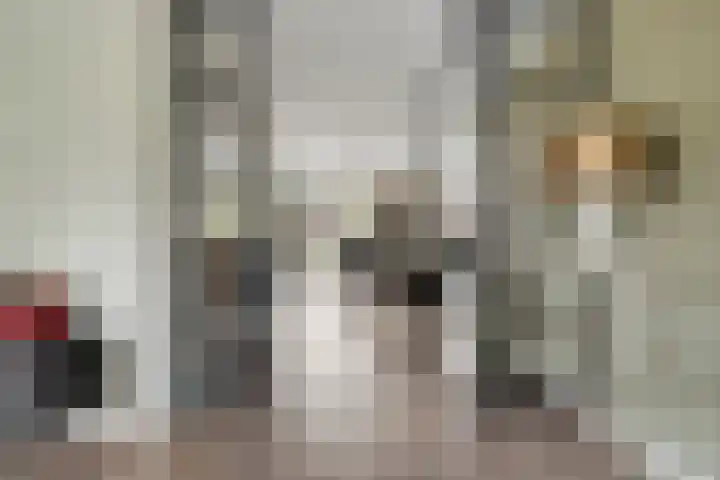 Mittendorffwerf 53 Dedemsvaart thumbnail 13