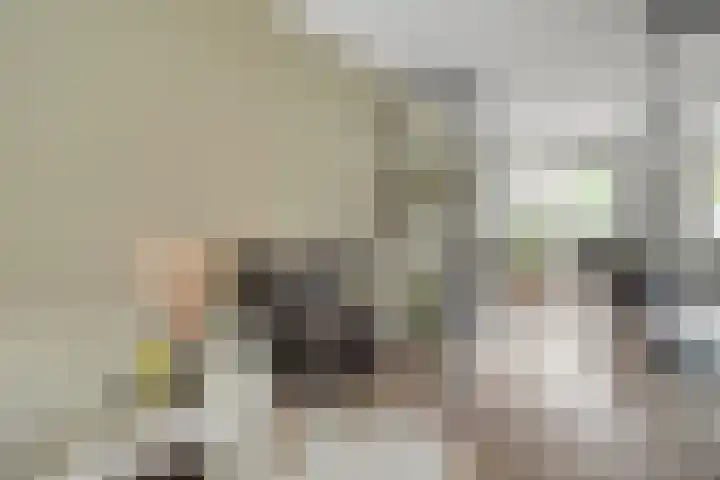 Mittendorffwerf 53 Dedemsvaart thumbnail 14
