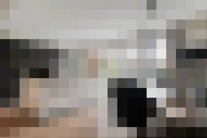 Mittendorffwerf 53 Dedemsvaart thumbnail 15