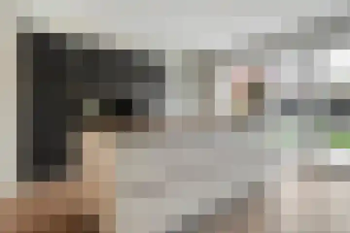 Mittendorffwerf 53 Dedemsvaart thumbnail 18