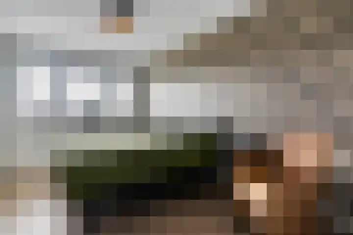Mittendorffwerf 53 Dedemsvaart thumbnail 24