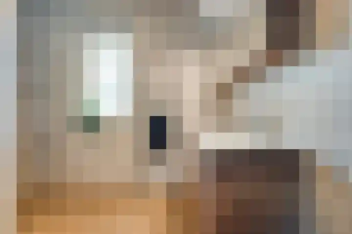 Mittendorffwerf 53 Dedemsvaart thumbnail 25
