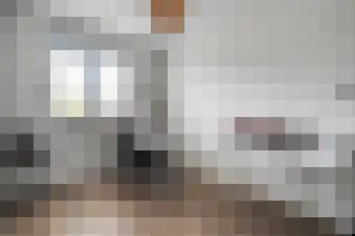 Mittendorffwerf 53 Dedemsvaart thumbnail 29