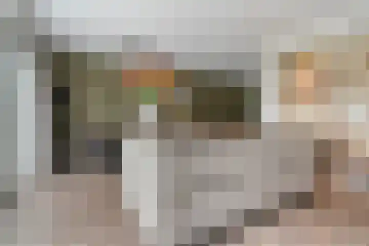 Mittendorffwerf 53 Dedemsvaart foto 3