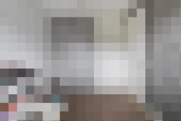Mittendorffwerf 53 Dedemsvaart thumbnail 30