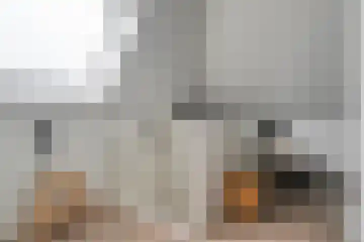 Mittendorffwerf 53 Dedemsvaart thumbnail 31