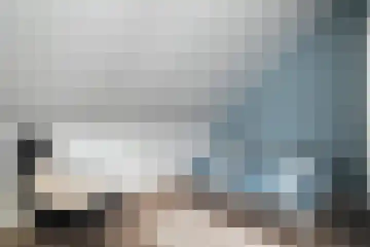 Mittendorffwerf 53 Dedemsvaart thumbnail 32