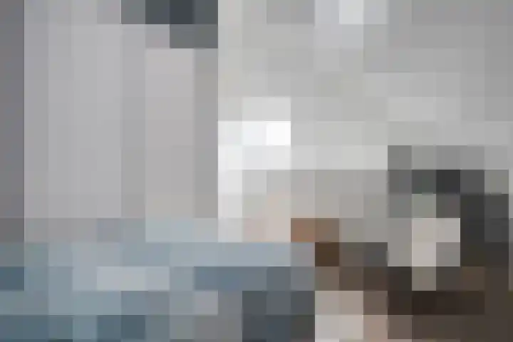 Mittendorffwerf 53 Dedemsvaart thumbnail 33