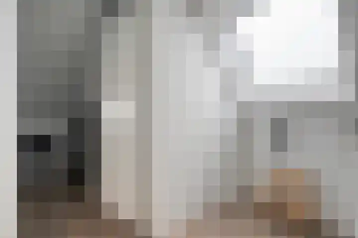 Mittendorffwerf 53 Dedemsvaart thumbnail 34