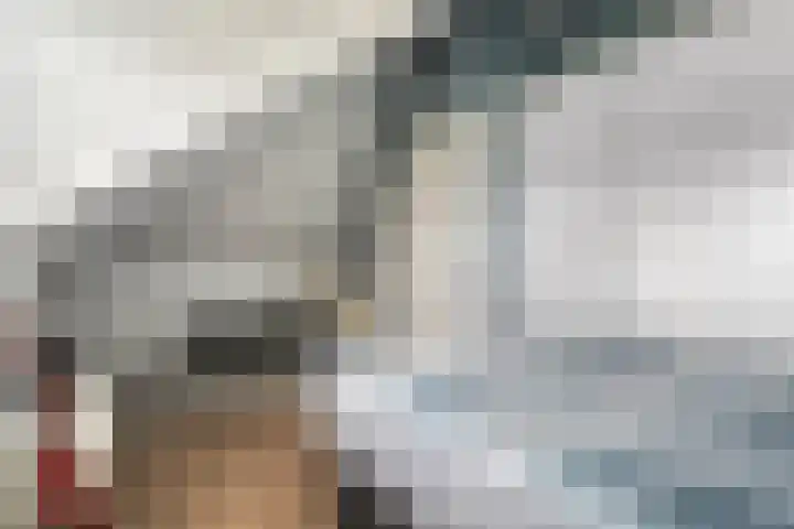 Mittendorffwerf 53 Dedemsvaart thumbnail 35