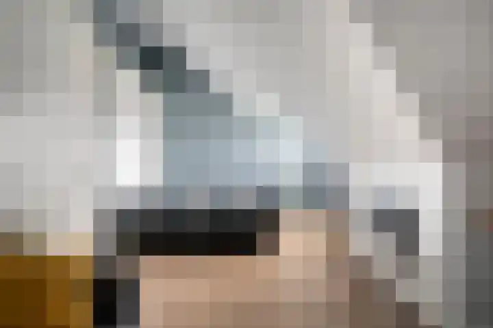 Mittendorffwerf 53 Dedemsvaart thumbnail 36