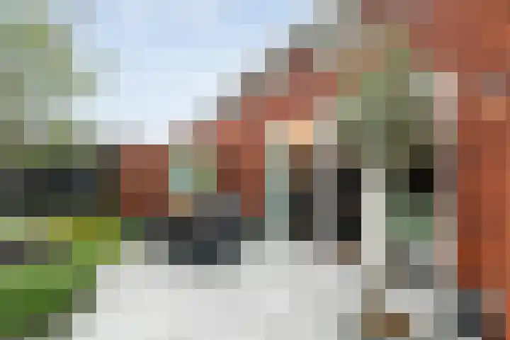 Mittendorffwerf 53 Dedemsvaart thumbnail 38