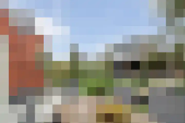 Mittendorffwerf 53 Dedemsvaart thumbnail 39