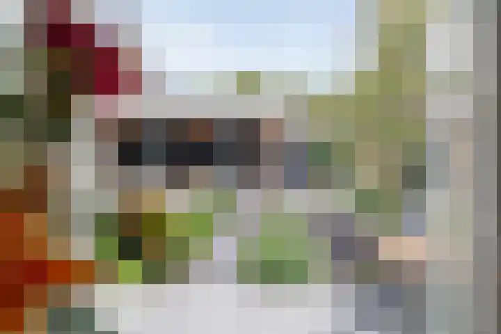 Mittendorffwerf 53 Dedemsvaart thumbnail 4