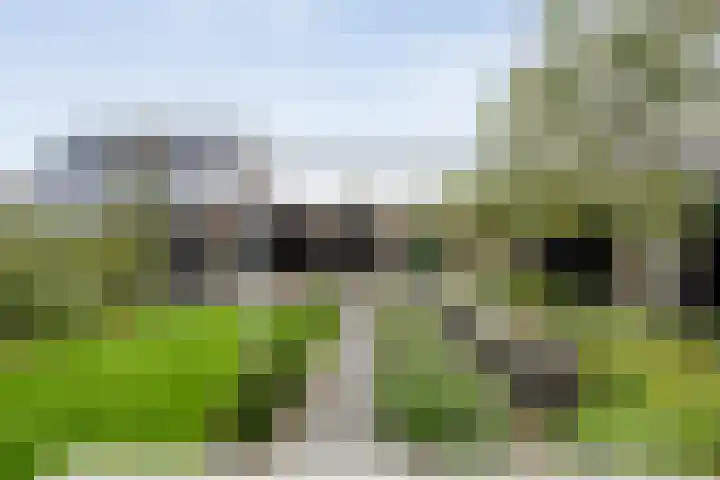 Mittendorffwerf 53 Dedemsvaart thumbnail 40