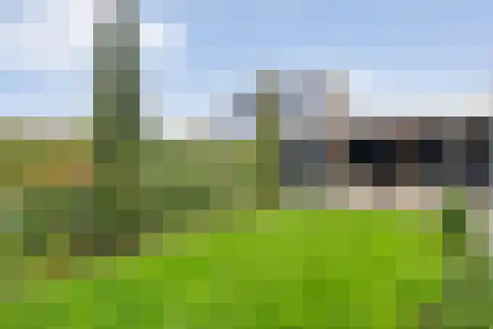 Mittendorffwerf 53 Dedemsvaart thumbnail 41