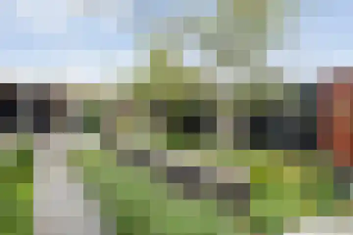 Mittendorffwerf 53 Dedemsvaart thumbnail 42