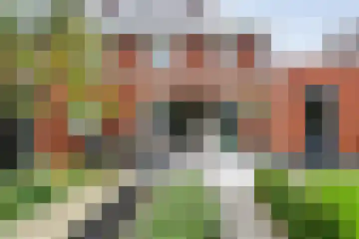 Mittendorffwerf 53 Dedemsvaart thumbnail 43