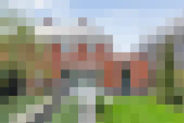 Mittendorffwerf 53 Dedemsvaart thumbnail 44